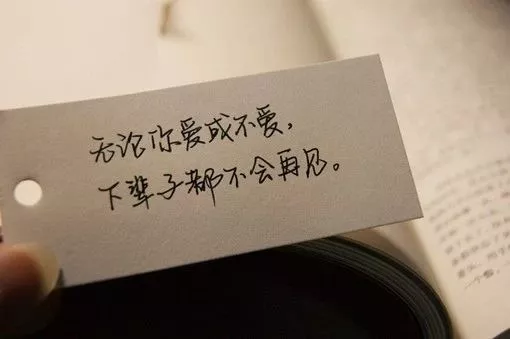下辈子, 都不会再见了